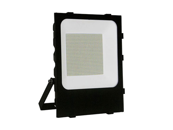 Series D Flood Light